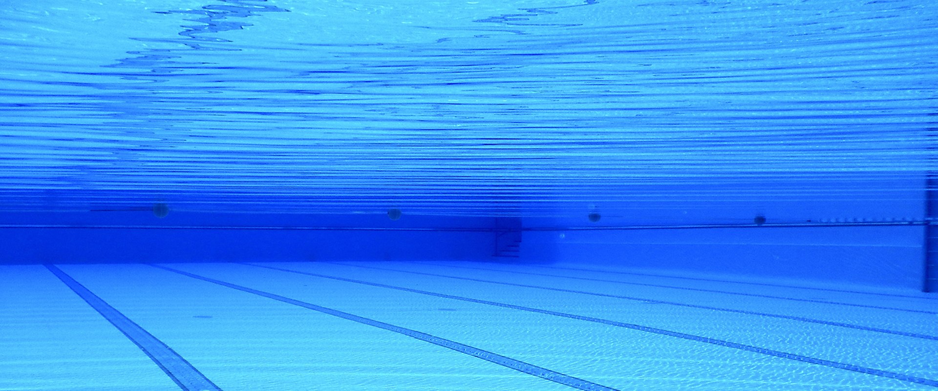 Elevate Your Home with a Pool Renovation Company in San Jose, CA While Complementing Hardwood Flooring