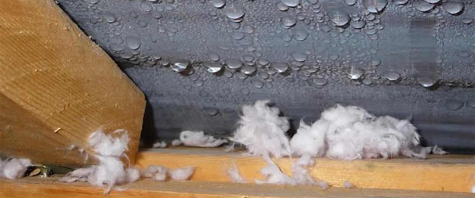 Why Roofing Professionals Pay Attention to Moisture Risks During Large Interior Renovations