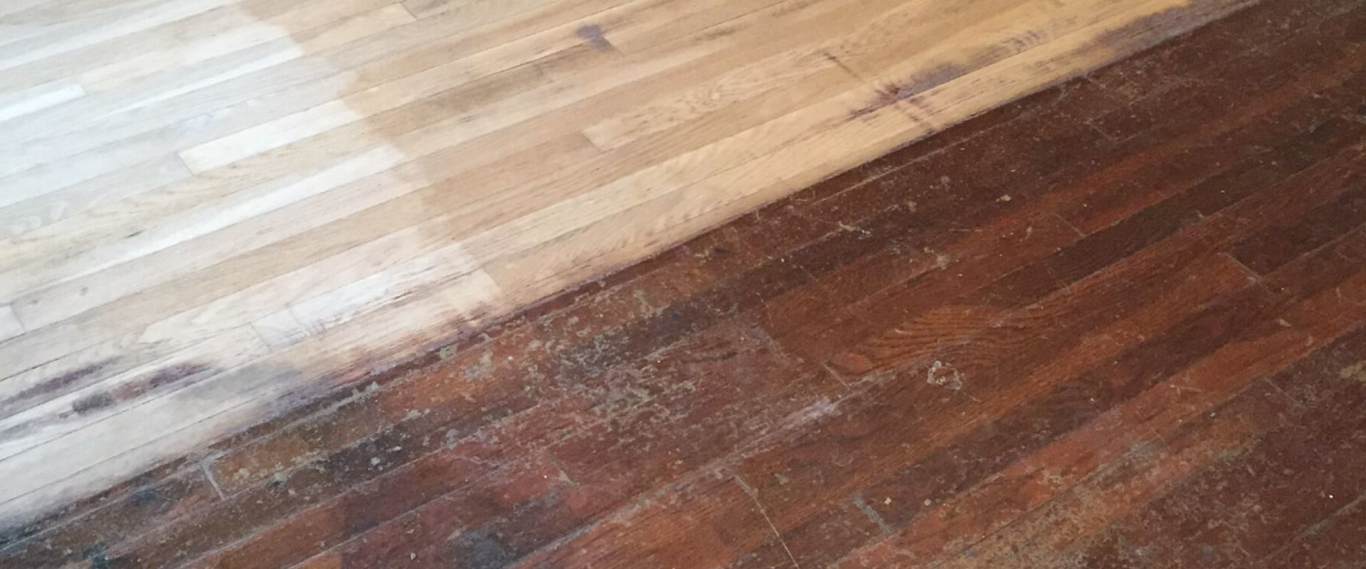 Where do hardwood floors come from?
