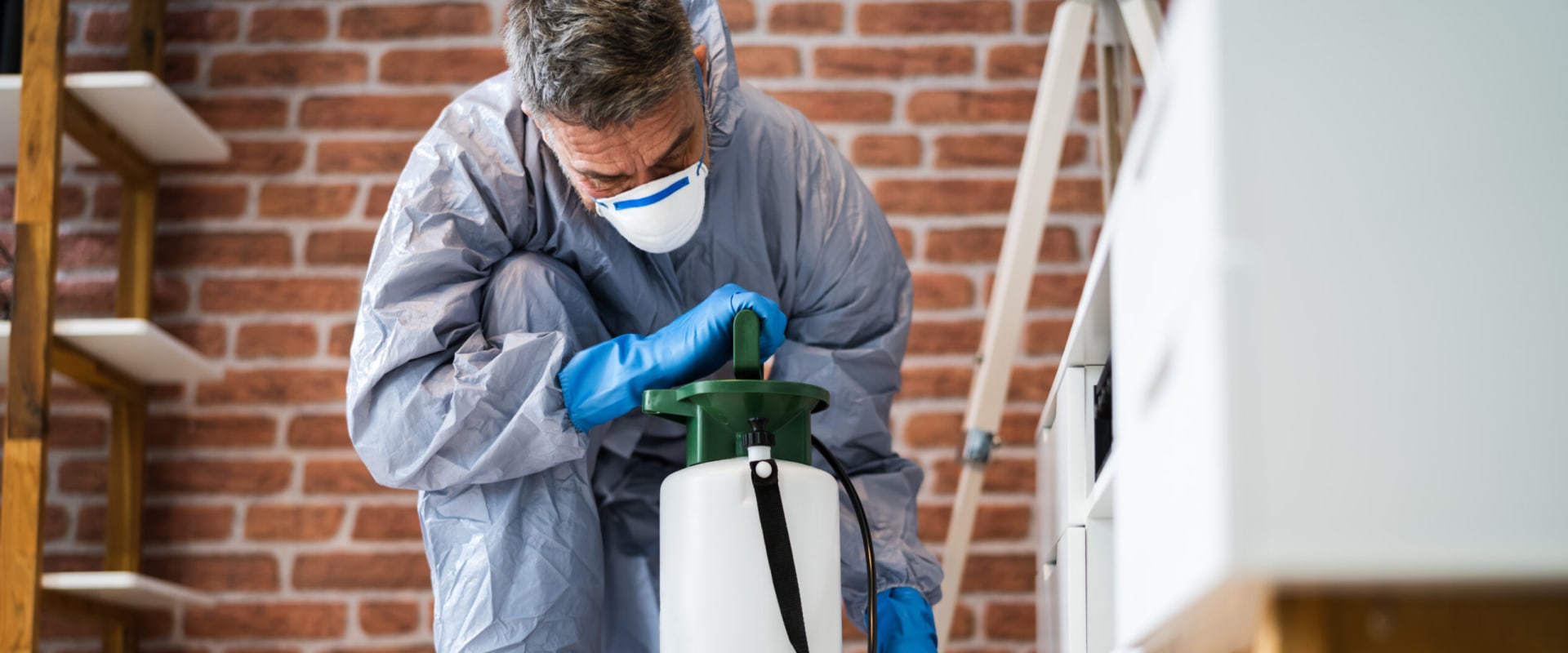 Protect Your Investment: Hire The Right Flea Exterminator In Longwood For Hardwood Floor Safety