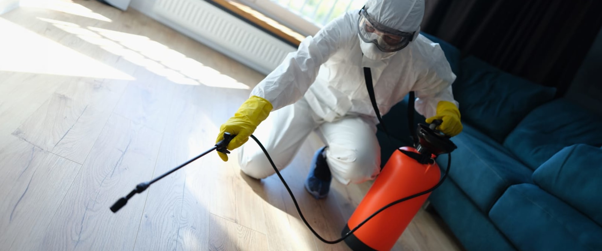 Protect Your Hardwood Floors: Why Flea Pest Control In Hollywood Is Essential