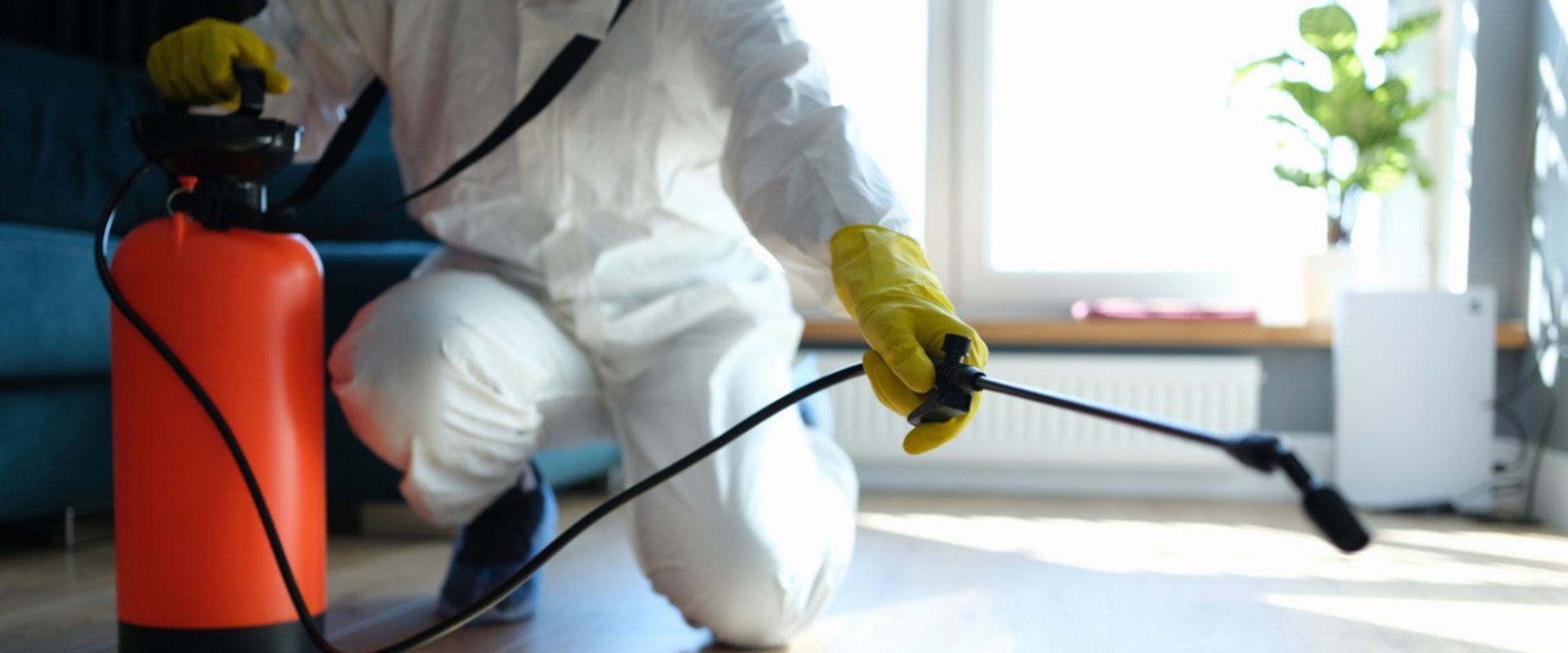 Why Pest Control Companies In Fayetteville, GA Recommend Regular Treatments For Homes With Hardwood Floors