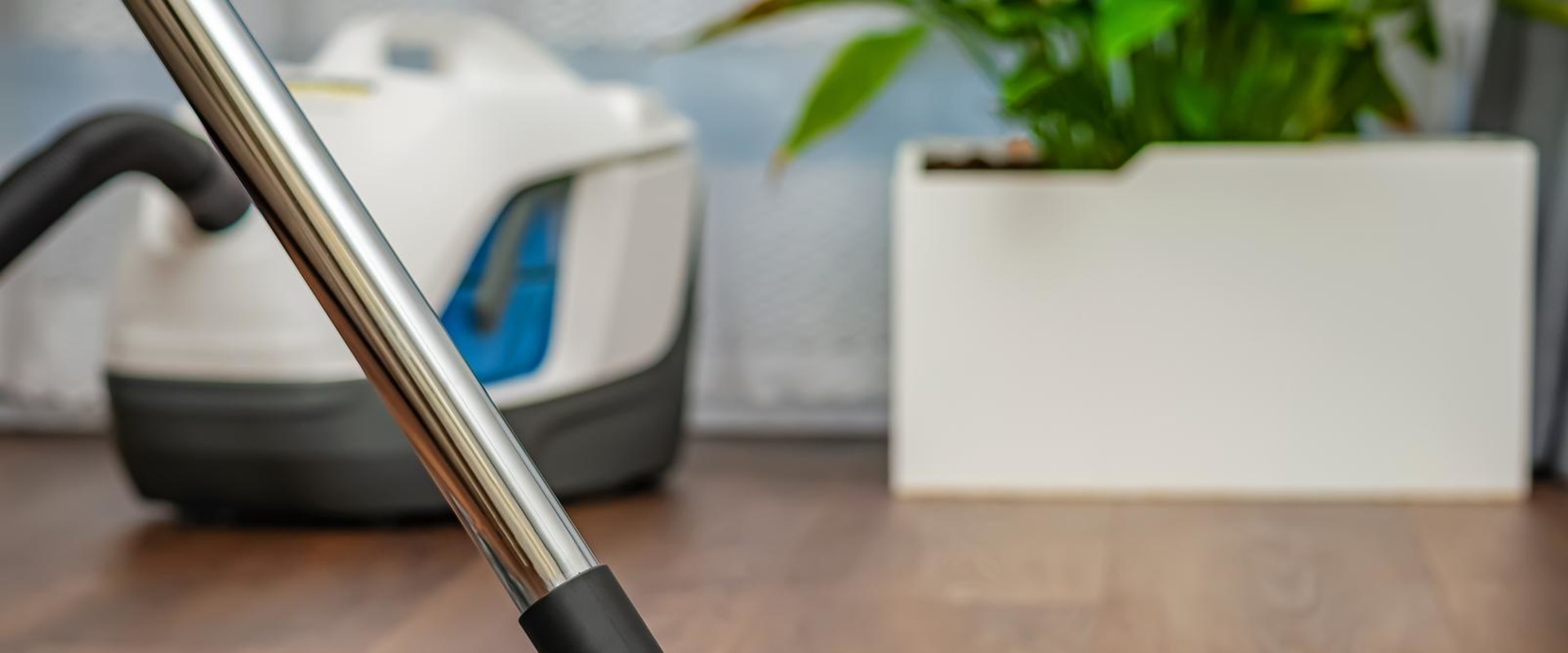 Refresh Your Home with Expert Carpet and Hardwood Care