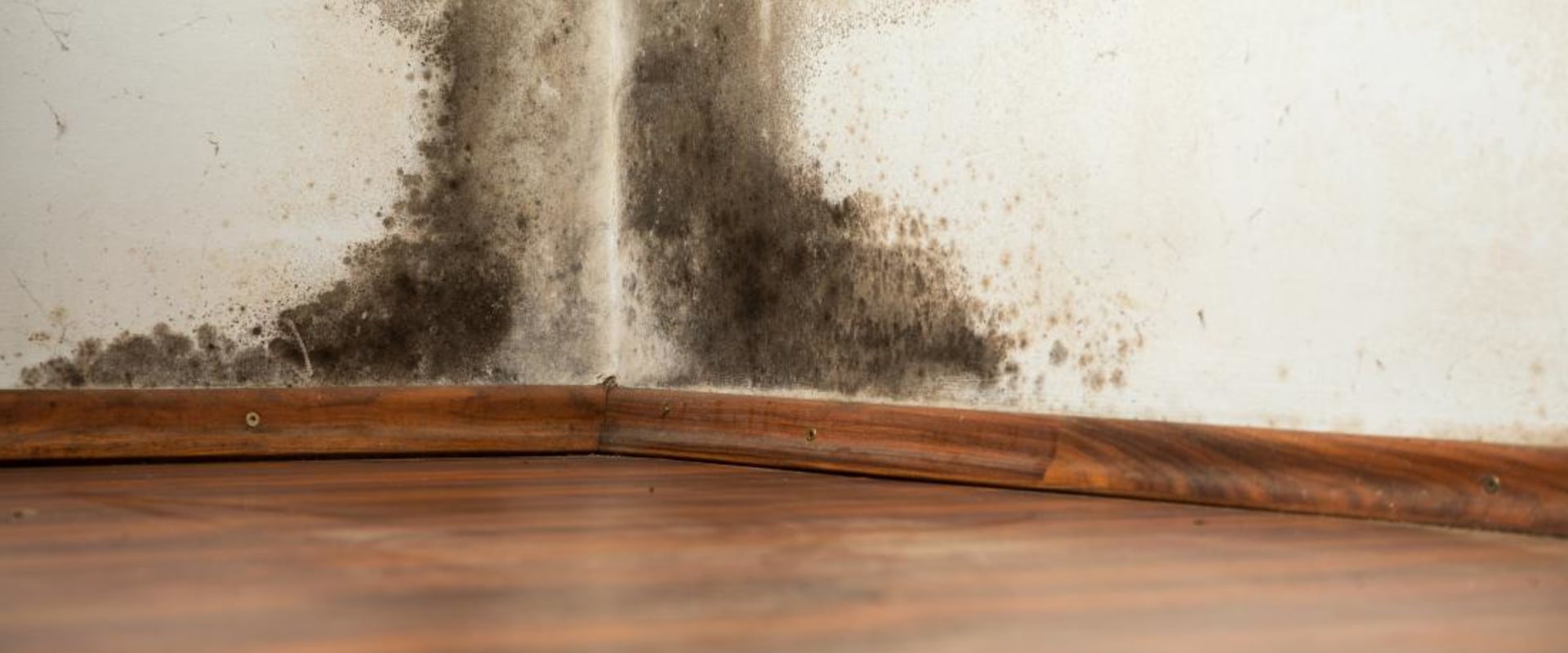 The Ultimate Guide To Hardwood Flooring Maintenance In Seattle: Preventing Mold Growth