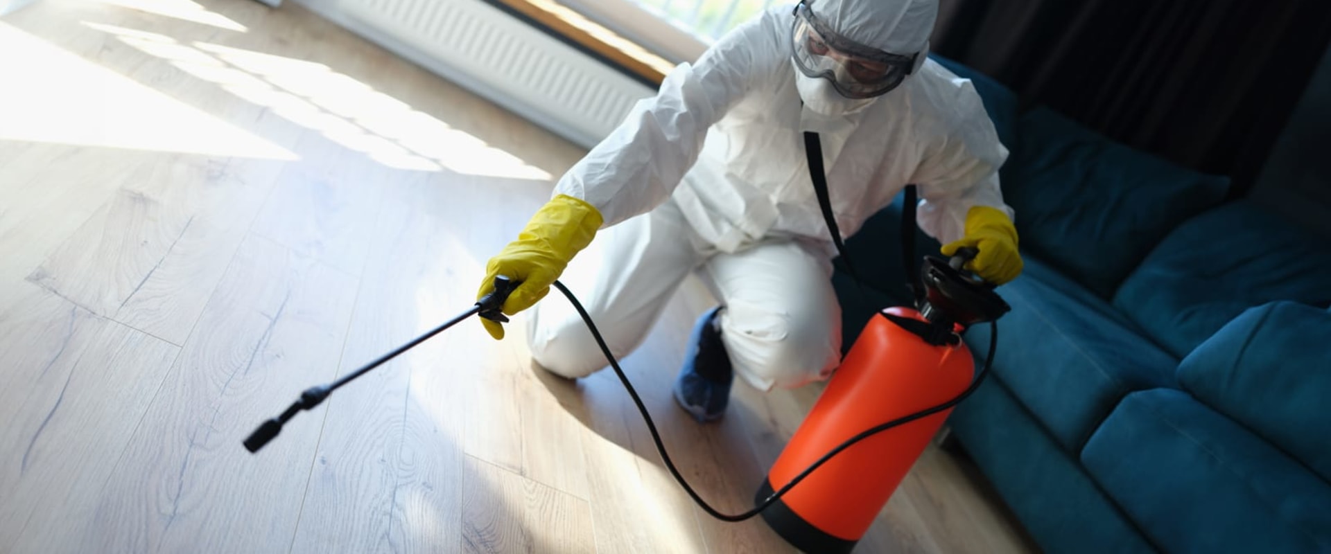 Protect and Repair Your Hardwood Floors in Dallas–Fort Worth