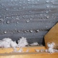 Why Roofing Professionals Pay Attention to Moisture Risks During Large Interior Renovations