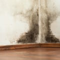 The Ultimate Guide To Hardwood Flooring Maintenance In Seattle: Preventing Mold Growth