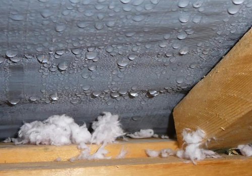 Why Roofing Professionals Pay Attention to Moisture Risks During Large Interior Renovations
