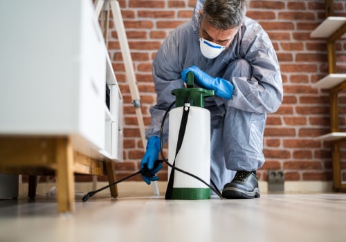 Protect Your Investment: Hire The Right Flea Exterminator In Longwood For Hardwood Floor Safety
