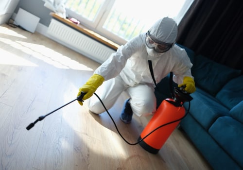 Protect Your Hardwood Floors: Why Flea Pest Control In Hollywood Is Essential