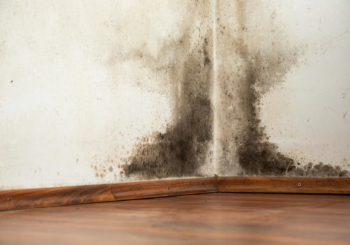 The Ultimate Guide To Hardwood Flooring Maintenance In Seattle: Preventing Mold Growth